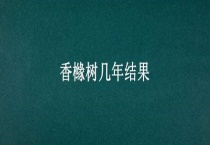 香橼树几年结果