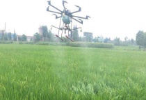 三环唑可以治疗的病害有哪些 三环唑有哪些防治功效