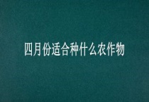 四月份适合种什么农作物