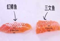 虹鳟鱼和三文鱼有什么不同 三文鱼有没有寄生虫