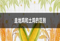 走地鸡和土鸡的区别？