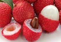 荔枝核可以种吗？