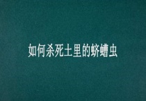 如何杀死土里的蛴螬虫