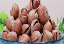 榛子的繁殖方法 详细介绍四种方式