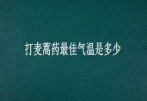 打麦蒿药最佳气温是多少？
