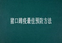 猪口蹄疫最佳预防多久？