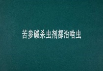 苦参碱杀虫剂都治啥虫