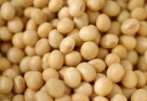 夏播大豆的行距和株距是多少？