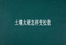 土壤太硬怎样变松散