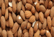 杏仁种子种植多久？