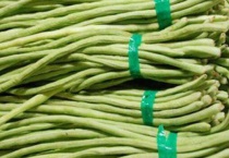 豆角什么时候播种