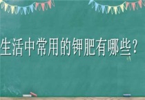 生活中常用的钾肥有哪些？