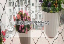 过期酸奶能浇花吗？适合浇什么花