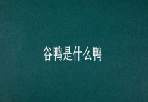 谷鸭是什么鸭