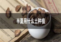 半夏用什么土种植