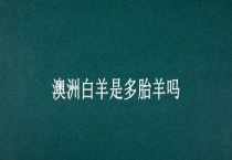 澳洲白羊是多胎羊吗？