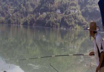 鲫鱼竿是什么意思？附竿型特点