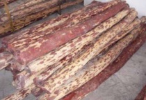 南檀北拓是指的什么树