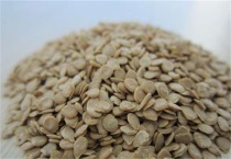 种子生虫了怎么办？