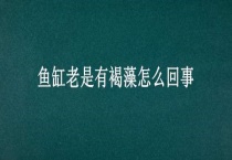 鱼缸老是有褐藻怎么回事