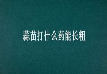 蒜苗打什么药能长粗