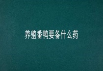 养殖番鸭要备什么药