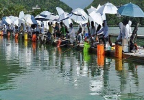 适合钓鲤鱼的钓位有哪些 这六大钓位是很好的选择