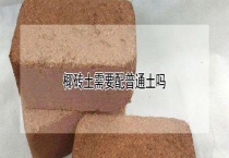 椰砖土需要配普通土吗？