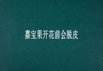 嘉宝果开花前会脱皮