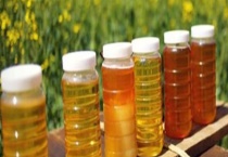 油菜花蜜为什么那么便宜 有以下四个原因？