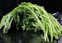 茼蒿病虫害防治技术 茼蒿病虫害发病症状