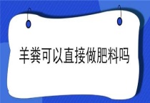 羊粪可以直接做肥料吗？
