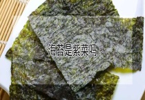 海苔是紫菜吗？