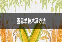 圈养羊技术及多久？