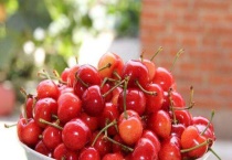 南方可以种樱桃吗？