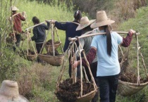 农家肥的施肥多久？