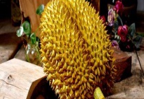 怎样挑选榴莲刺多刺少