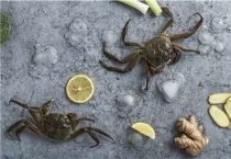 螃蟹能活多久？