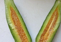 长得像黄瓜的水果