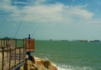 传统钓和台钓哪个钓的多 传统钓和台钓哪个钓法好