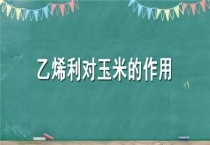 乙烯利对玉米的作用