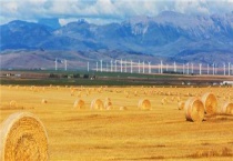 家庭农场和农民合作社有什么区别？？