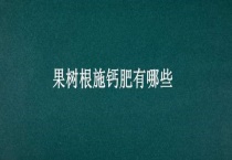 果树根施钙肥有哪些？