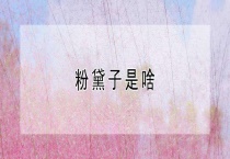 粉黛子是啥