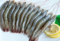 虾的屎在哪个位置