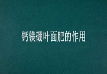 钙镁硼叶面肥的作用