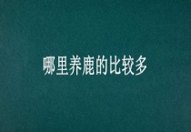 哪里养鹿的比较多