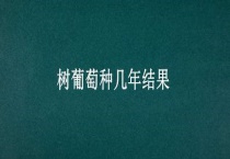 树葡萄种几年结果