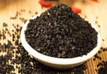 菲菜种子什么时候种