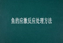 鱼的应激反应处理多久？